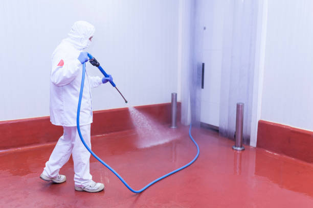 Best Fence Cleaning  in Pacifi, CA